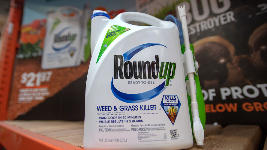Monsanto Roundup weed