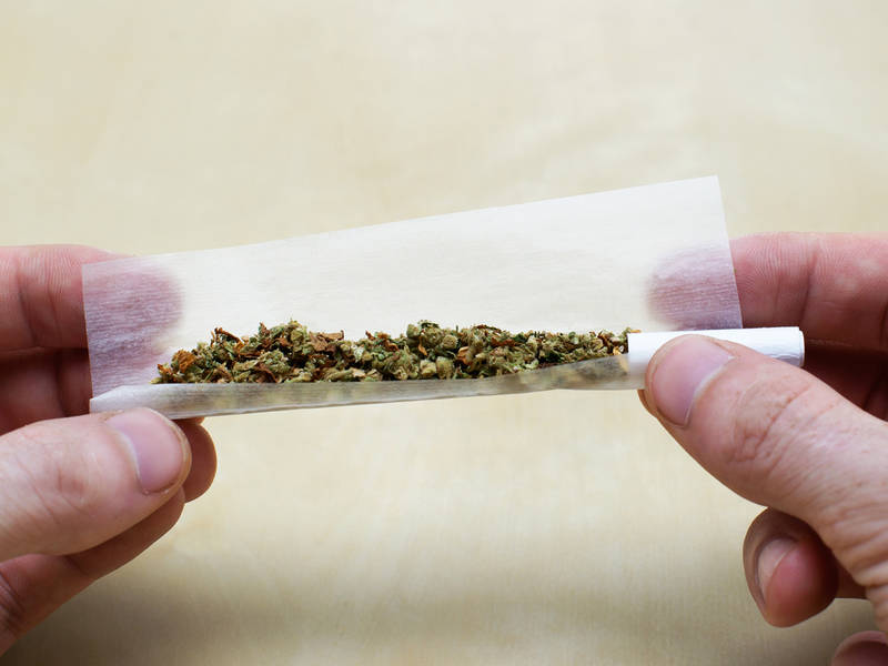 Marijuana Joint rolling marijuana joint with twoo hands and paper