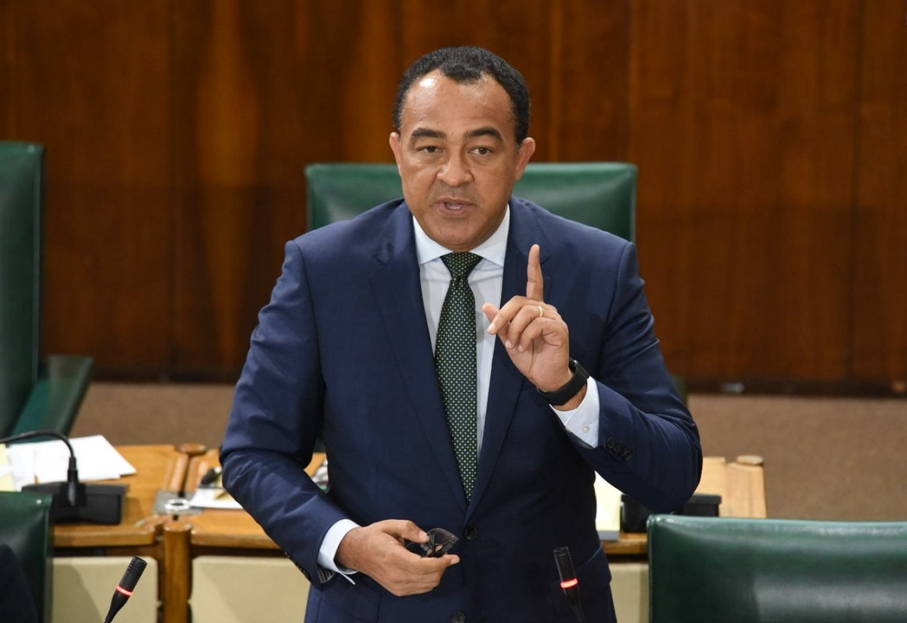 Health and Wellness Minister Dr. Chris Tufton 