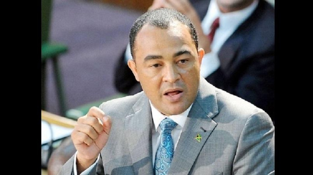 Health and Wellness Minister Dr. Chris Tufton