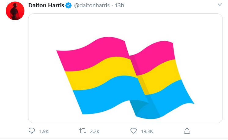 Dalton Tweets flag